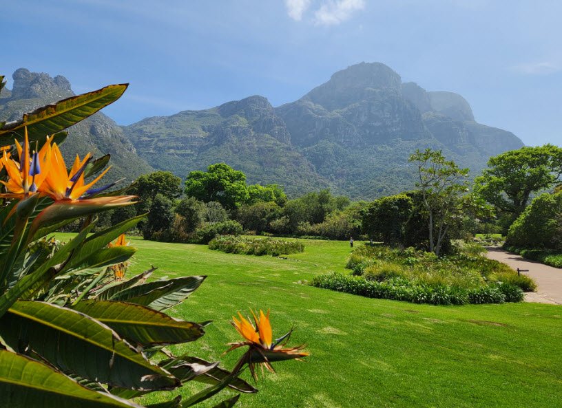 Kirstenbosch National Botanical Garden, South Africa